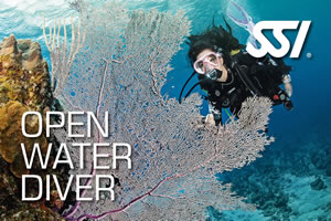 SSi Openwater Diver Course